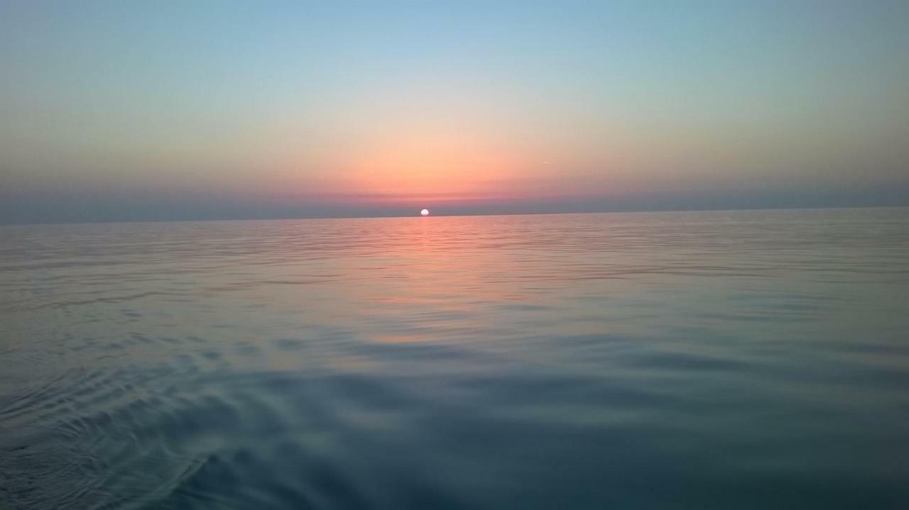 Apartmani Bubnic Umag Bagian luar foto