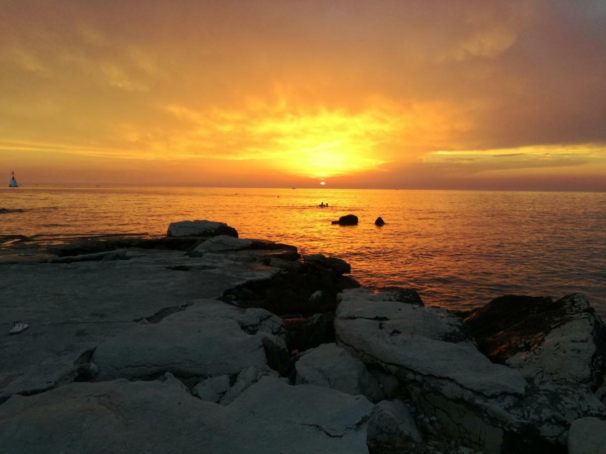 Apartmani Bubnic Umag Bagian luar foto